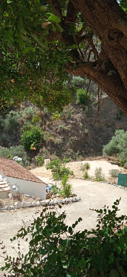 Morales Cottage Almogía Dış mekan fotoğraf
